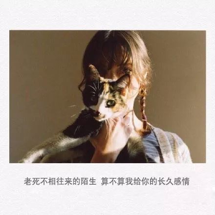 挽回感情微信图片,挽回感情：微信聊天图片，如何重塑关系？