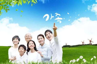 新民市婚姻挽回,新民市夫妻互动改善：成功挽回婚姻