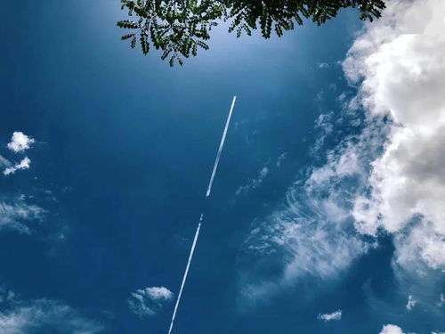 晴空情感挽回,晴空情感挽回