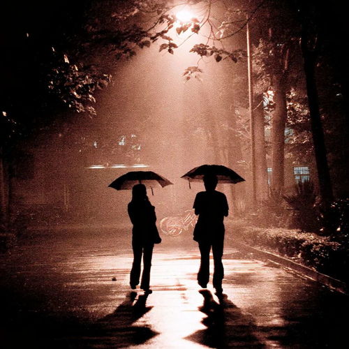 挽回的伤感歌曲,爱情太沉重，你为什么不留我。