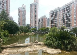 沈阳沈河区怎么挽回恋情,如何挽回沈阳沈河区的恋情