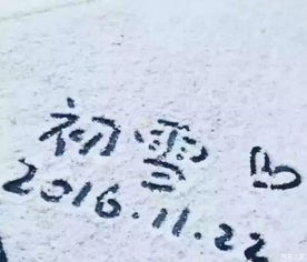 明明不爱了还想挽回,原标题：虽然不爱了，我还是想挽回新标题：已不爱却未放弃，依旧想挽回