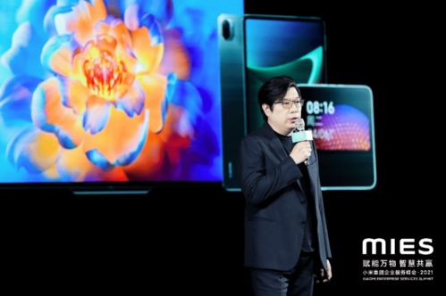 昭阳挽回米彩,昭阳成功拯救米彩