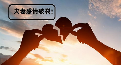 涿州挽回夫妻感情，涿州夫妻感情再启创业之旅