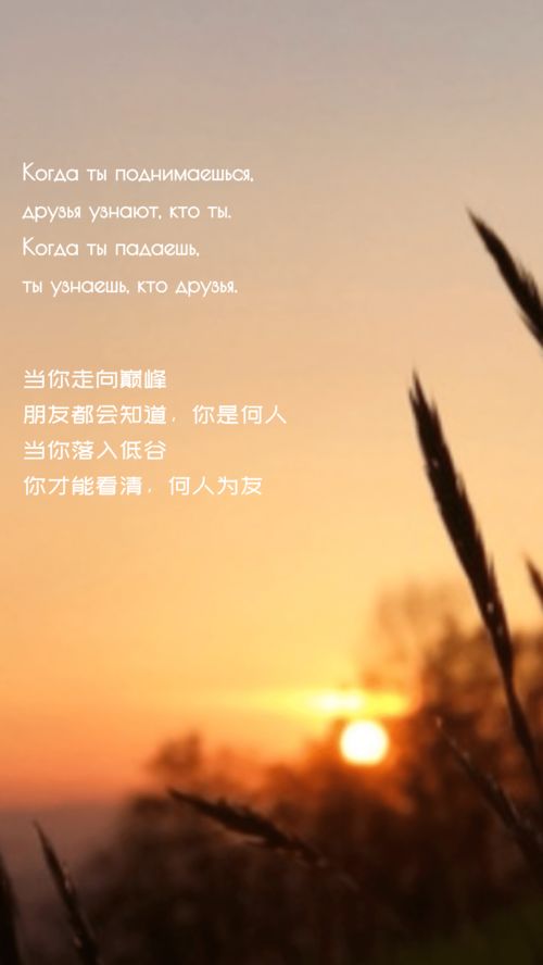 无论朋友知已挽回诗句,珍友相伴，挽回友情