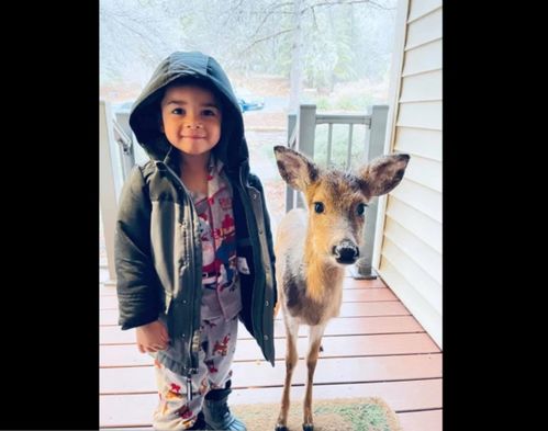 天津挽回婚姻哪家好,天津婚姻挽救哪家值得信赖