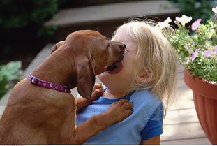 挽回变成舔狗的人,从挽回到舔狗，深夜的爱情无声宣告