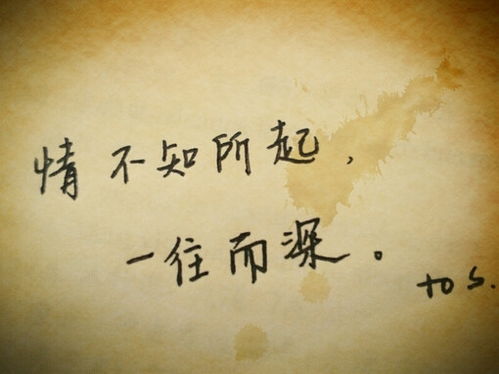 错误才懂得挽回之路,挽回感情的正确方法，别错过了！