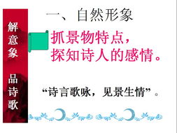 形容挽回形象的词,恢复声誉：重塑形象的挽回之路