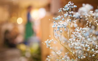 挽回了多久才复合,复合花了多久？挽回多久才复合？——新标题（不超过40字）)