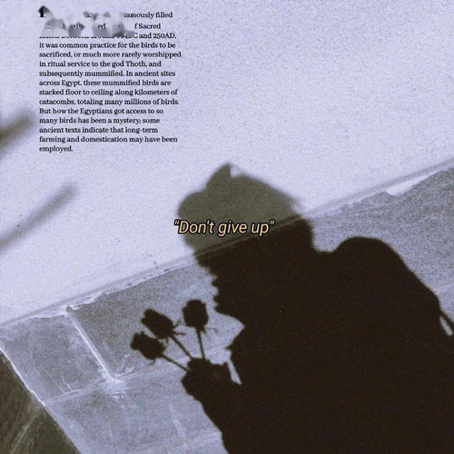 离婚痛苦挽回的话句子,重修旧好：挽回离婚的心路历程