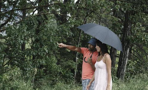 情感挽回浩坤老师,快速挽回爱情的秘诀-浩坤老师传授