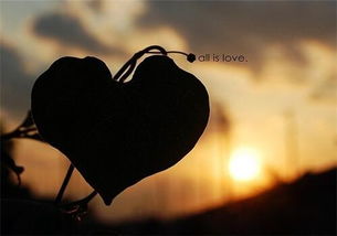 挽回他人的感情方法,挽回感情的有效技巧