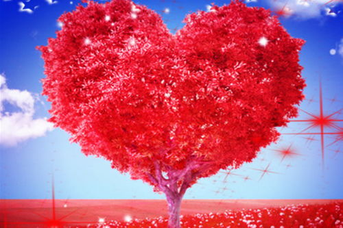 婚姻挽回多久能找到,如何快速挽回婚姻？