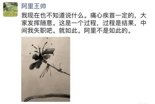 安庆市情感挽回公司，安庆市亲情修复机构，重燃失落回忆