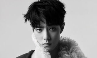 挽回焉栩嘉颜面,如何挽回焉栩嘉与颜面？