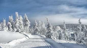 挽回冬天的最佳时间,挽回冬季，最佳时间是什么？