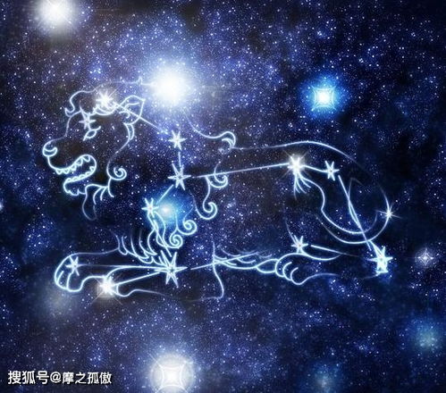 摩羯下头怎么挽回,如何挽回摩羯座的心