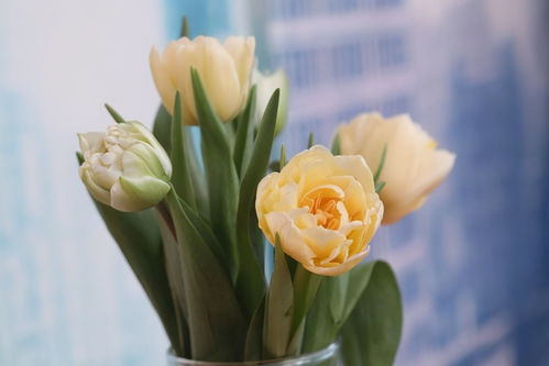 爱人离你而去怎么挽回,如何挽回离开的爱人？