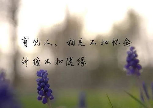 放手离开的人怎么挽回,怎样让离开的人回心转意