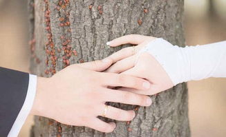 怎能挽回夫妻感情,如何重建夫妻之间的感情