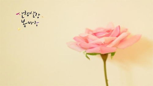 花镇情缘情感挽回,重拾花镇旧爱，情系情缘