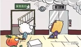 成功处置火灾挽回损失，火场得力处置防止财物蒙受损失