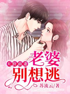 前妻挽回倒追小说,前妻倒追，再度拥有新爱情