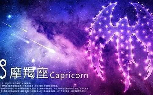 未来2周挽回星座,星座挽回计划：2周拯救爱情