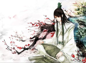 挽回前任的唯美诗句,唤回逝去的爱，挽回前缘