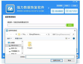 删除了还可以挽回,恢复被删除的内容：如何挽救丢失的文件