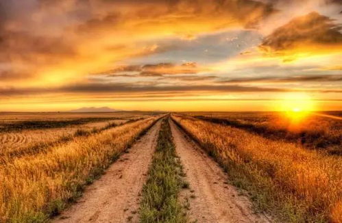 山西挽回爱情公司电话,山西挽爱公司电话