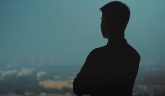 我极力挽回的样子,我努力挽回的样子