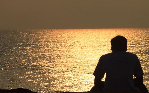 痴情男子寻求挽回女友，男子不愿放弃，决心挽回前女友