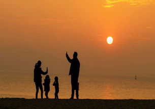 如何挽回我的父亲,挽救失落的父子情