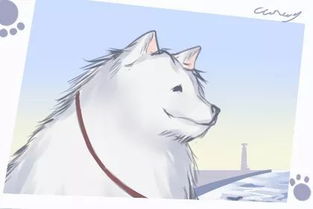 怎样挽回摩羯座男生朋友,如何重新和摩羯男友友谊长存