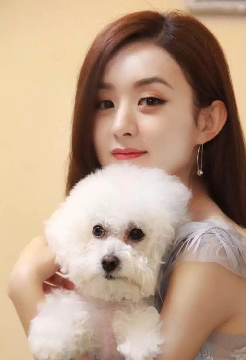 帮舔狗挽回女神,如何成为女神心中的宠儿，挽回爱情？