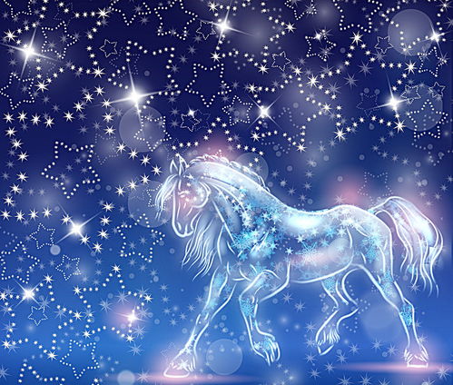 如何挽回双鱼的心,如何挽回双鱼座的爱情