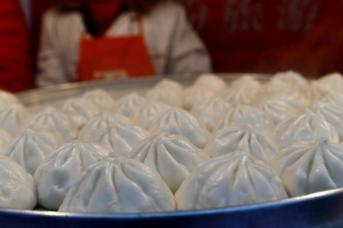 重生挽回老公和包子,重新赢回老公的心与包子共存