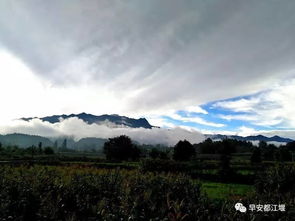 都江堰情感挽回,挽回失落都江堰爱情