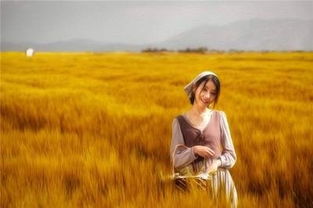 真情流露的挽回,真挚的心声，寻回爱情