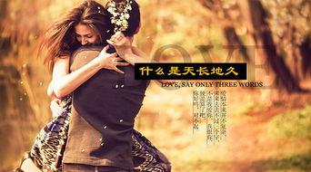 甜蜜挽回小说免费阅读,爱情韶华：免费甜蜜挽回小说