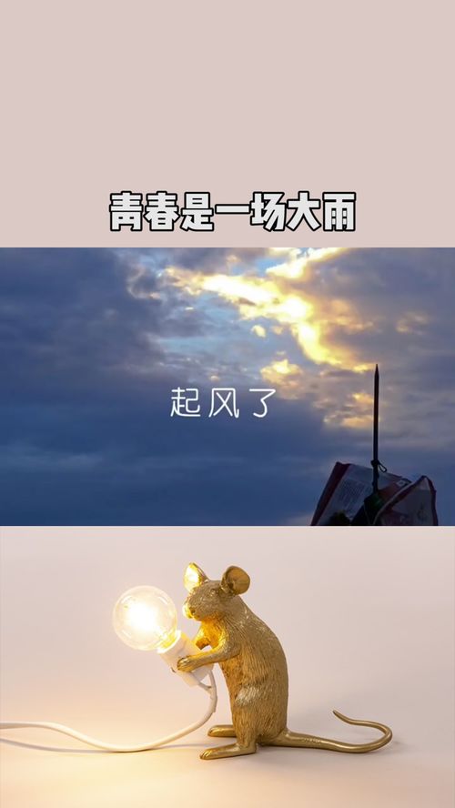 只有救赎才能挽回，用拯救唤回：挽救丧失的希望