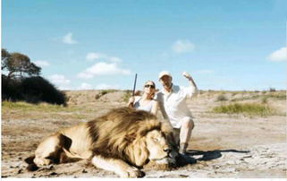 狮子女下头挽回,挽救失落狮子女压力山大