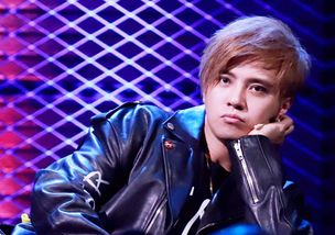 罗志祥挽回技巧,罗志祥的挽回之道