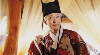 皇上挽回紫薇的方法,救回紫薇：皇上的匠心独具方法