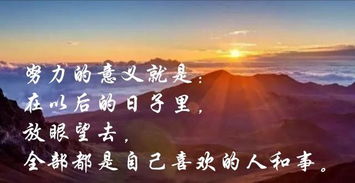 错过又想挽回的句子，无法挽回的错过岁月