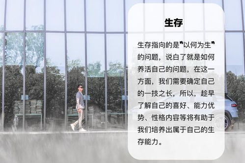 挽回后如何重建框架,重建框架：挽回后的新开始。
