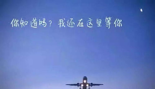 总想挽回不成功,挽回失败，重新开始)