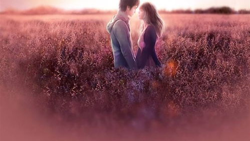 真心分手最佳挽回时间，挽回爱情黄金72小时：如何在最佳时间内重拾你的TA？